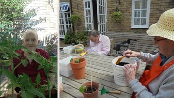 A blooming success for The Elms care home in HC-One gardening competition